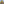         ROYAL BAY | Funkční sportovní čelenka – Žlutá neon, na horách (ilustrační AI foto)